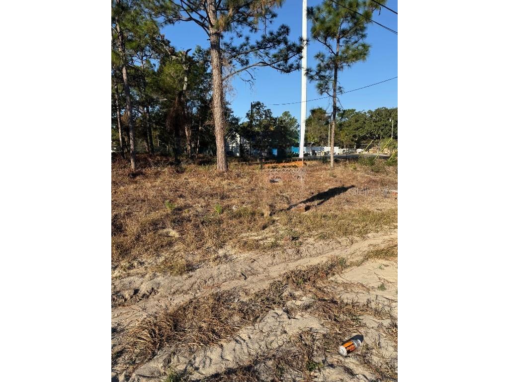 13786 Linden Drive Spring Hill FL 34609 TB8432261 image4