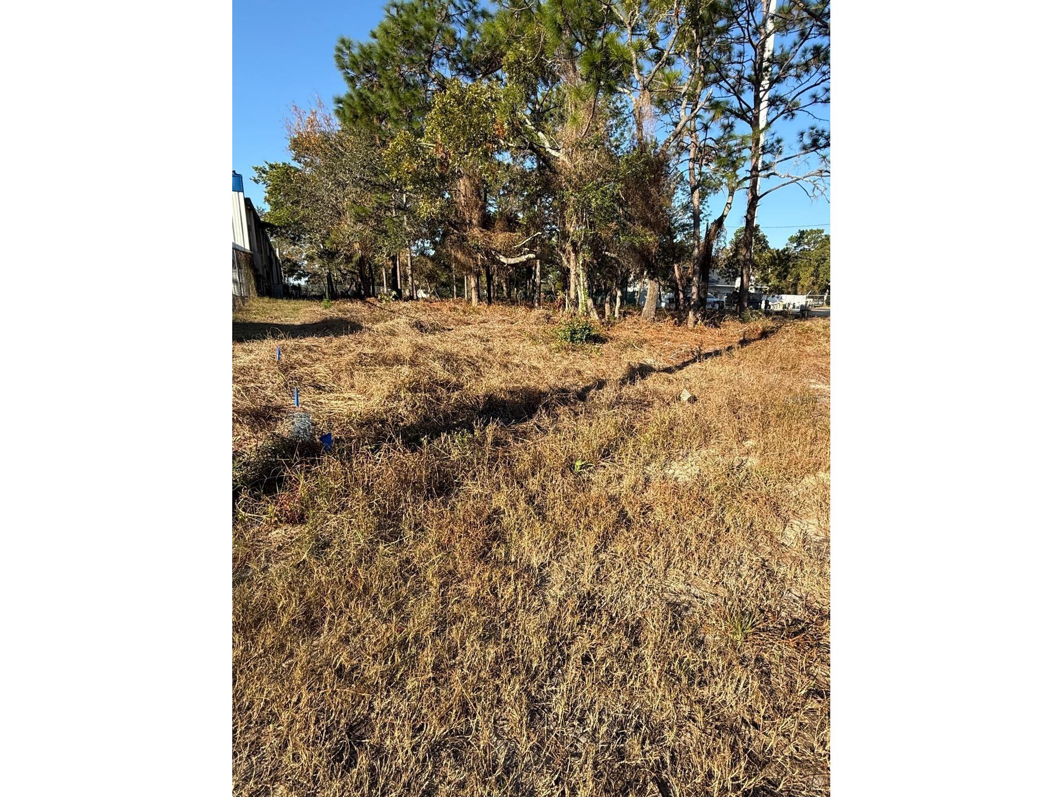 13786 Linden Drive Spring Hill FL 34609 TB8478559 image1