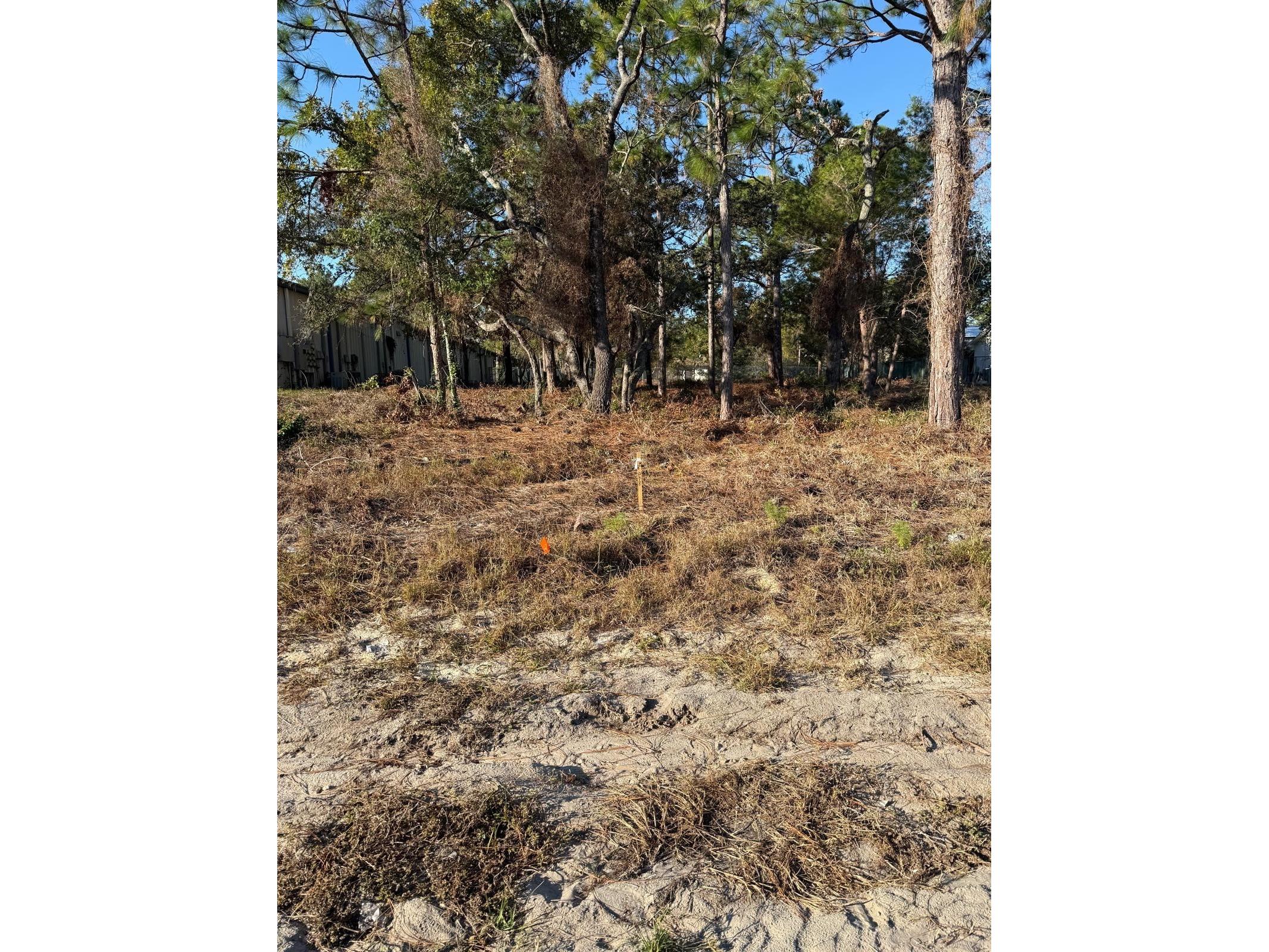 13786 Linden Drive Spring Hill FL 34609 TB8478559 image2