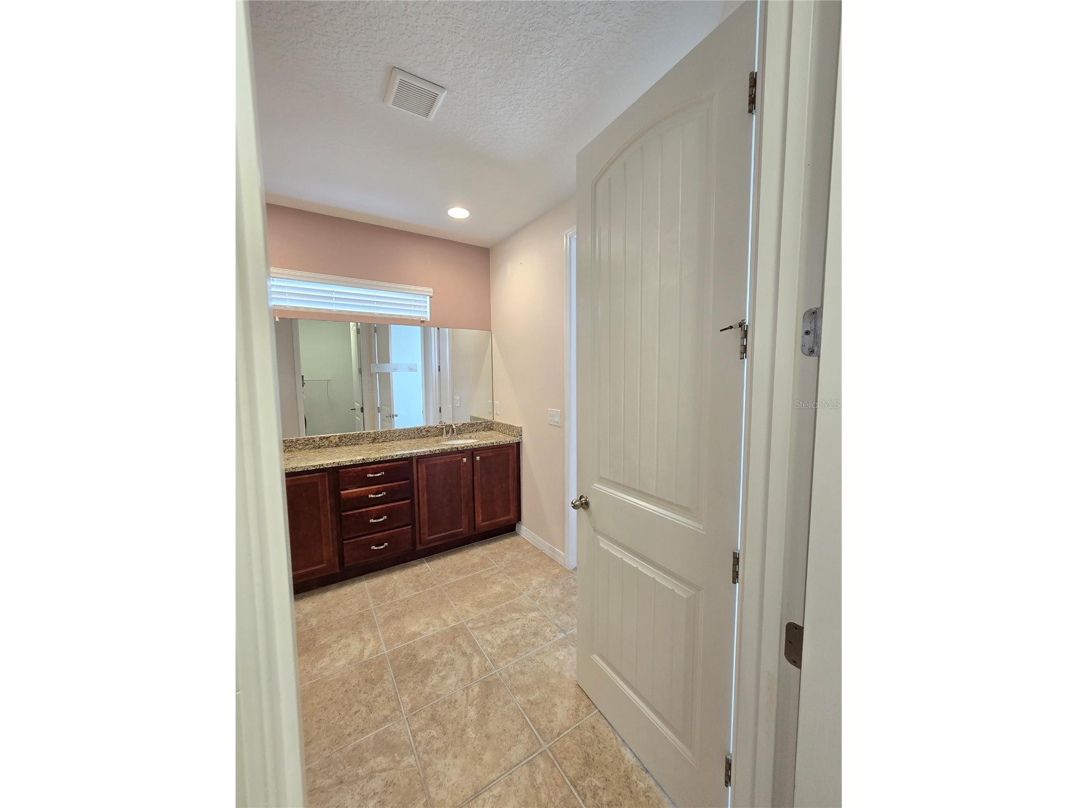 13786 Summer Harbor Court Windermere FL 34786 O6414239 image25