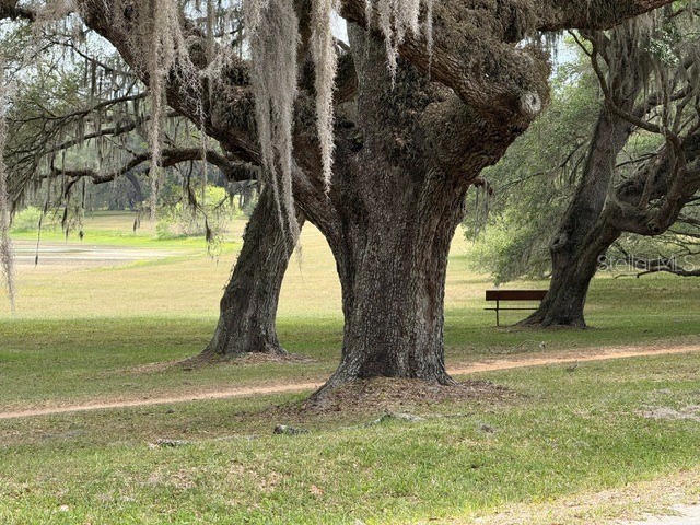 13787 SW 104th Lane Dunnellon FL 34432 OM716580 image42