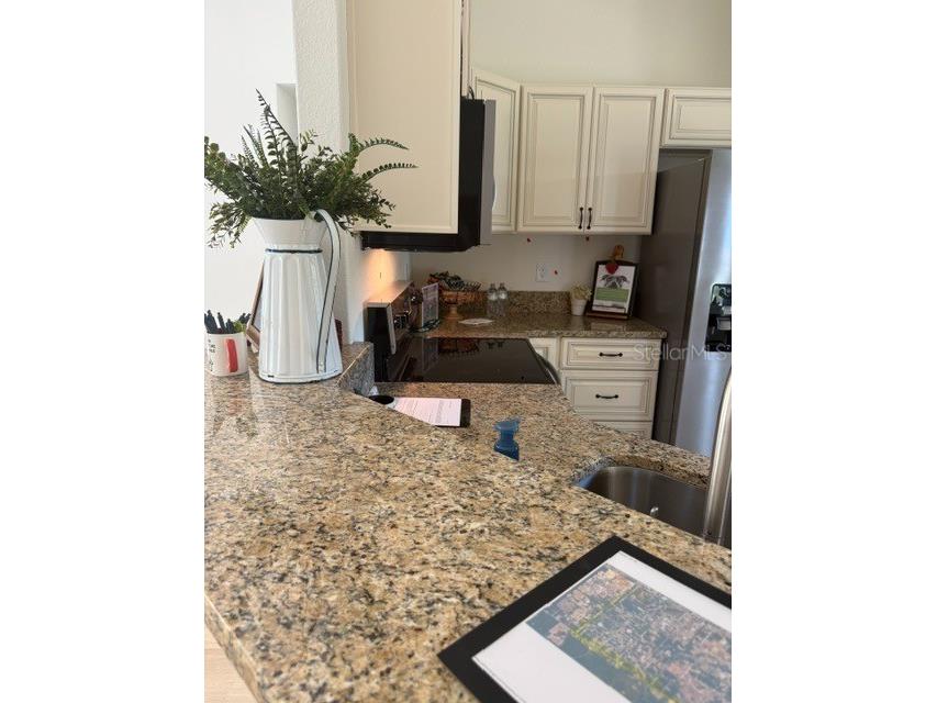 13787 SW 104th Lane Dunnellon FL 34432 OM716580 image6