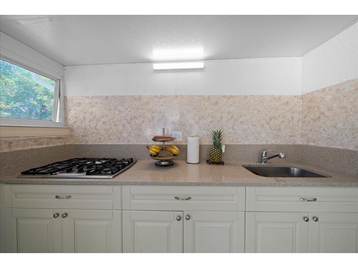 13789 SW 102nd Place Dunnellon FL 34432 OM722148 image44