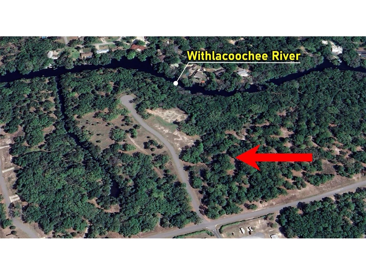 13789 W Foss Groves Path Inglis FL 34449 - WITHLACOOCHEE RIVER OM712137 image2