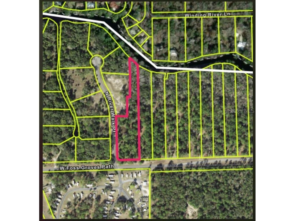 13789 W Foss Groves Path Inglis FL 34449 - WITHLACOOCHEE RIVER OM712137 image3