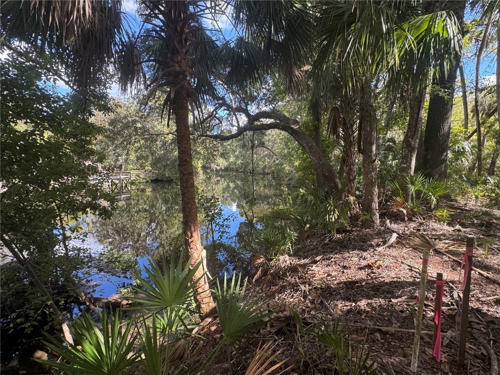 13789 W Foss Groves Path Inglis FL 34449 - WITHLACOOCHEE RIVER OM712137 image4