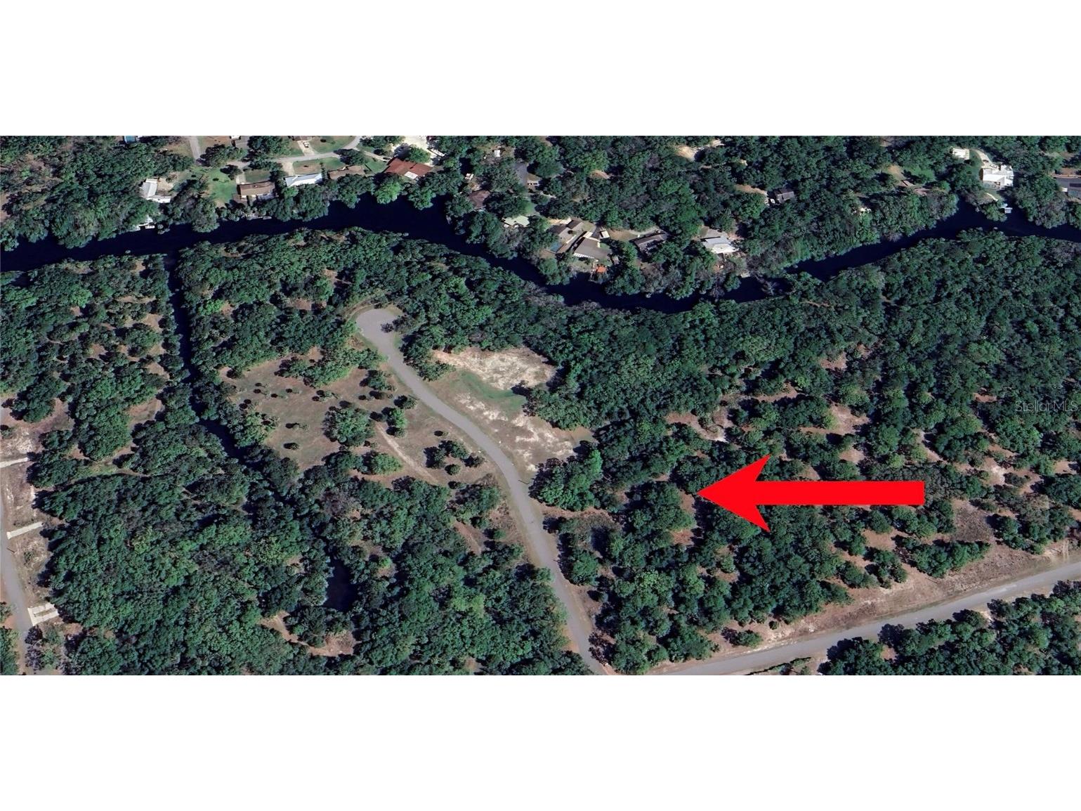 13789 W Foss Groves Path Inglis FL 34449 - WITHLACOOCHEE RIVER OM712137 image5