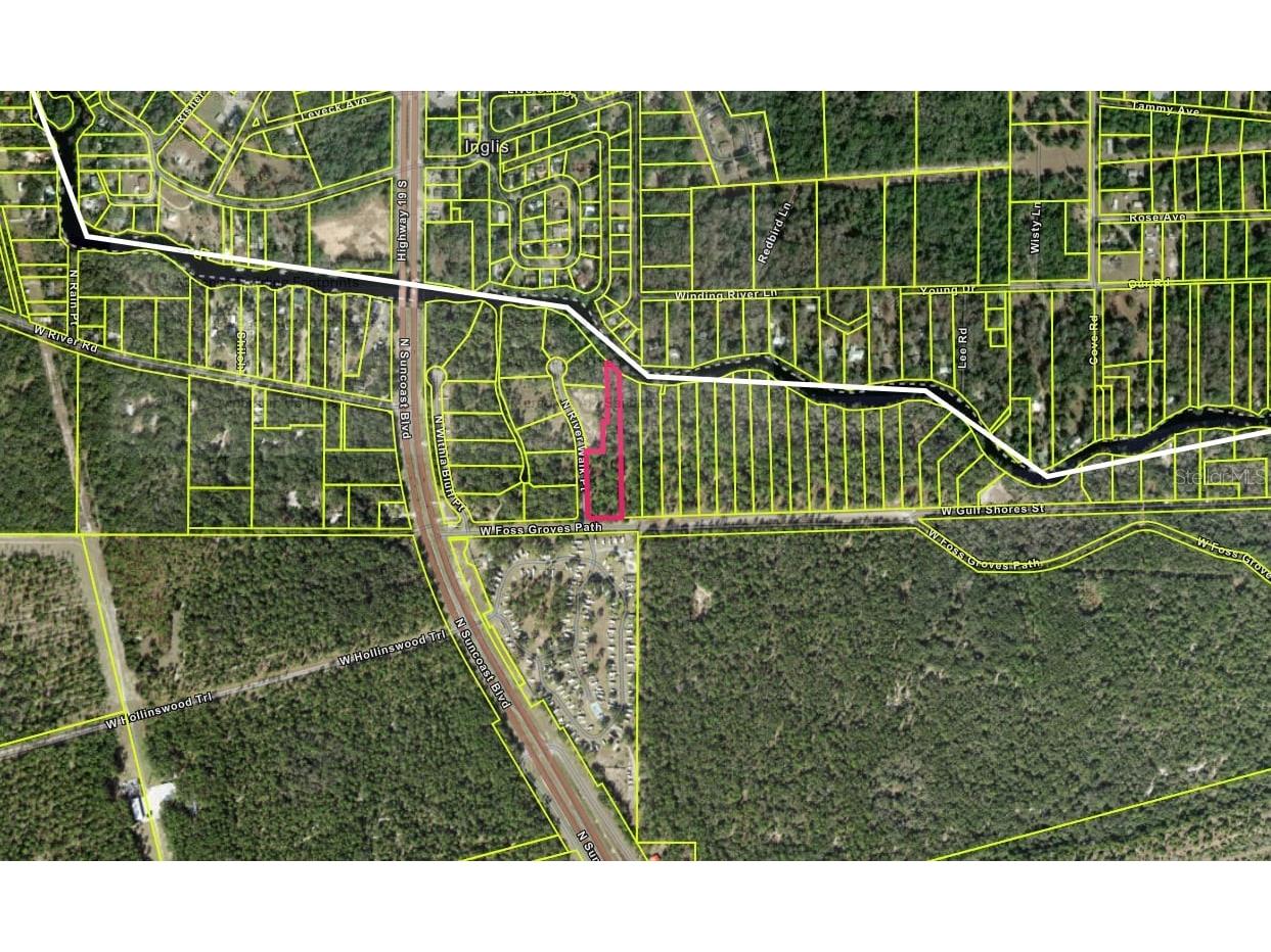 13789 W Foss Groves Path Inglis FL 34449 - WITHLACOOCHEE RIVER OM712137 image6