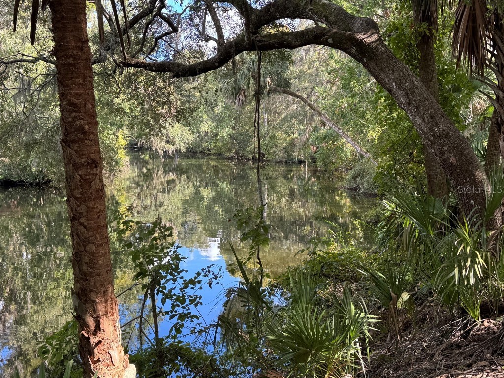 13789 W Foss Groves Path Inglis FL 34449 - WITHLACOOCHEE RIVER OM712137 image7