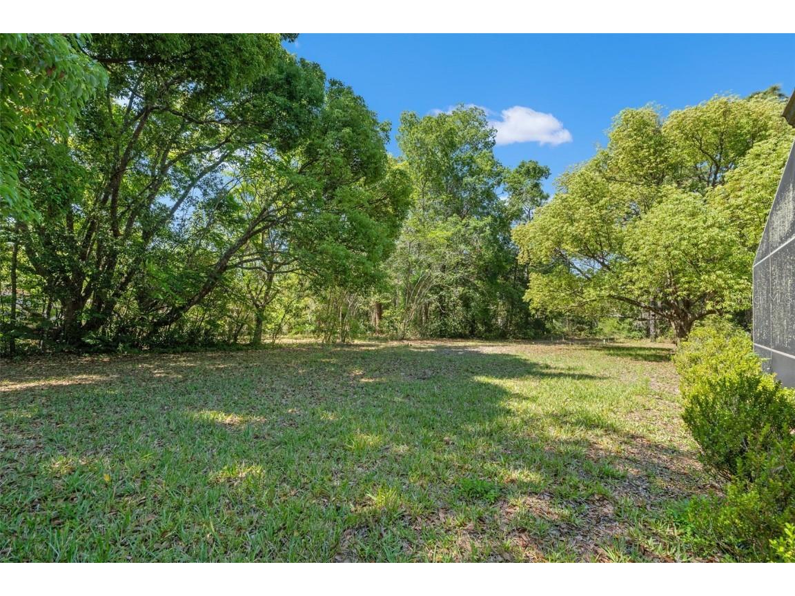 1379 Matthew Avenue Spring Hill FL 34609 TB8377136 image50