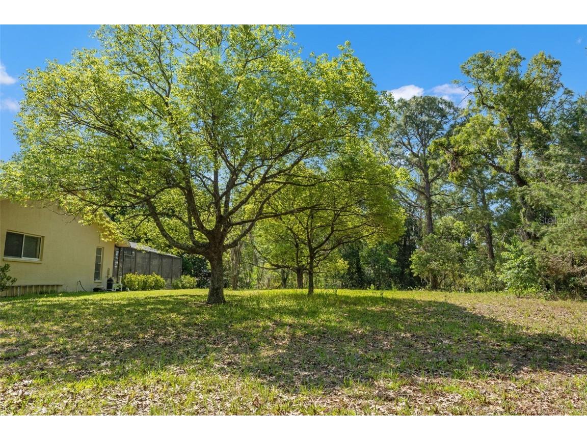 1379 Matthew Avenue Spring Hill FL 34609 TB8377136 image52