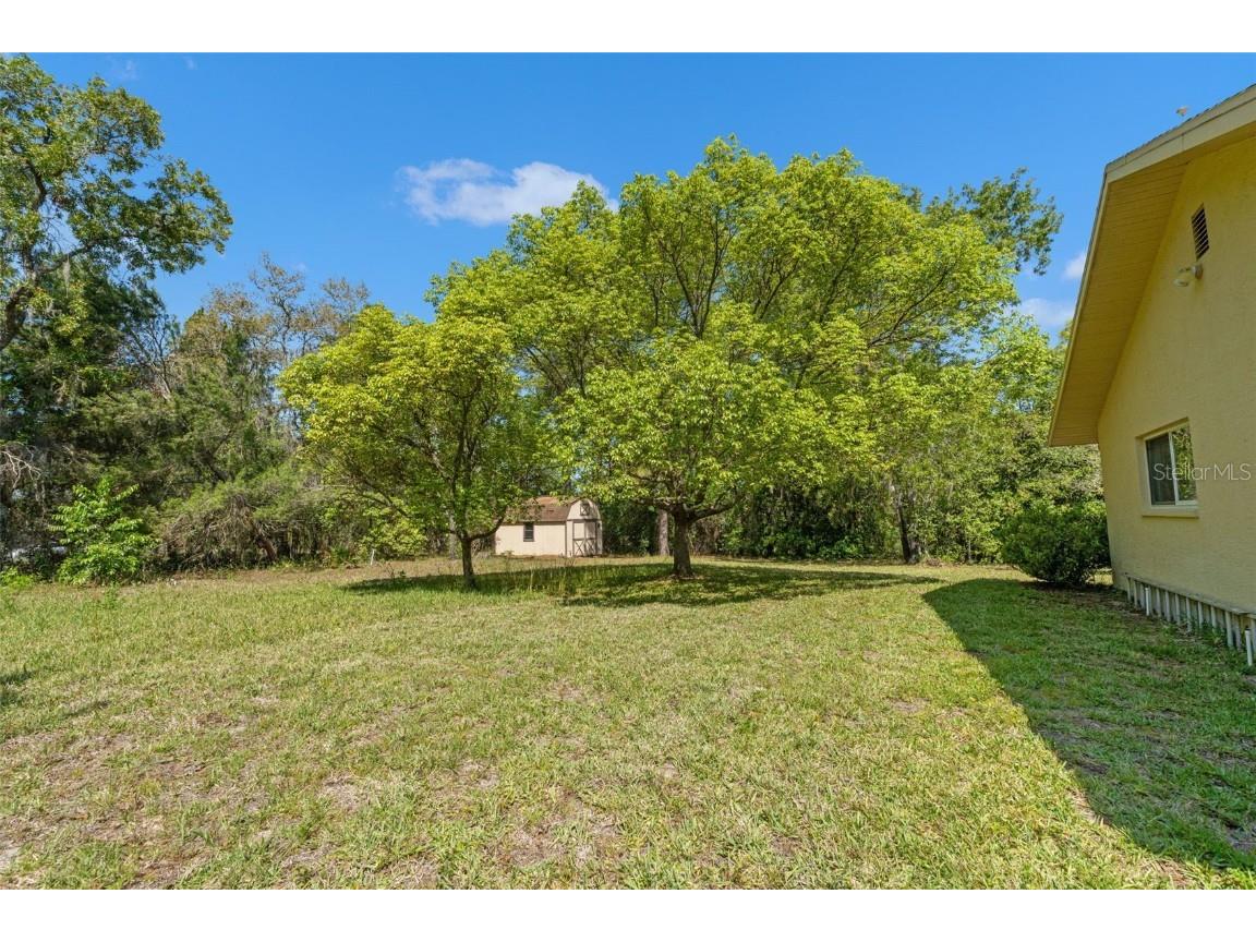 1379 Matthew Avenue Spring Hill FL 34609 TB8377136 image53