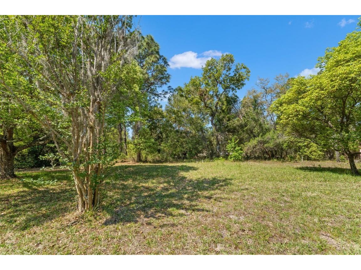 1379 Matthew Avenue Spring Hill FL 34609 TB8377136 image54