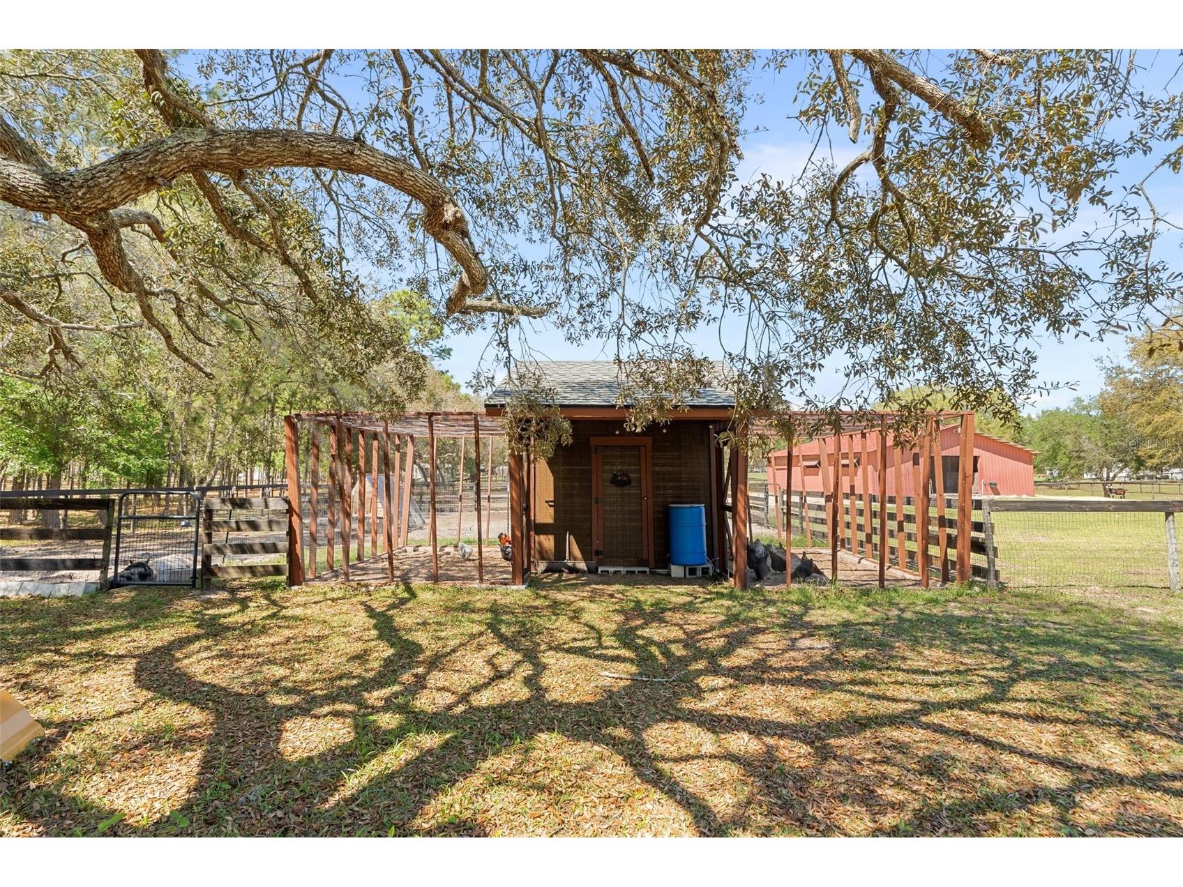 13791 SE 30th Street Morriston FL 32668 GC538811 image43