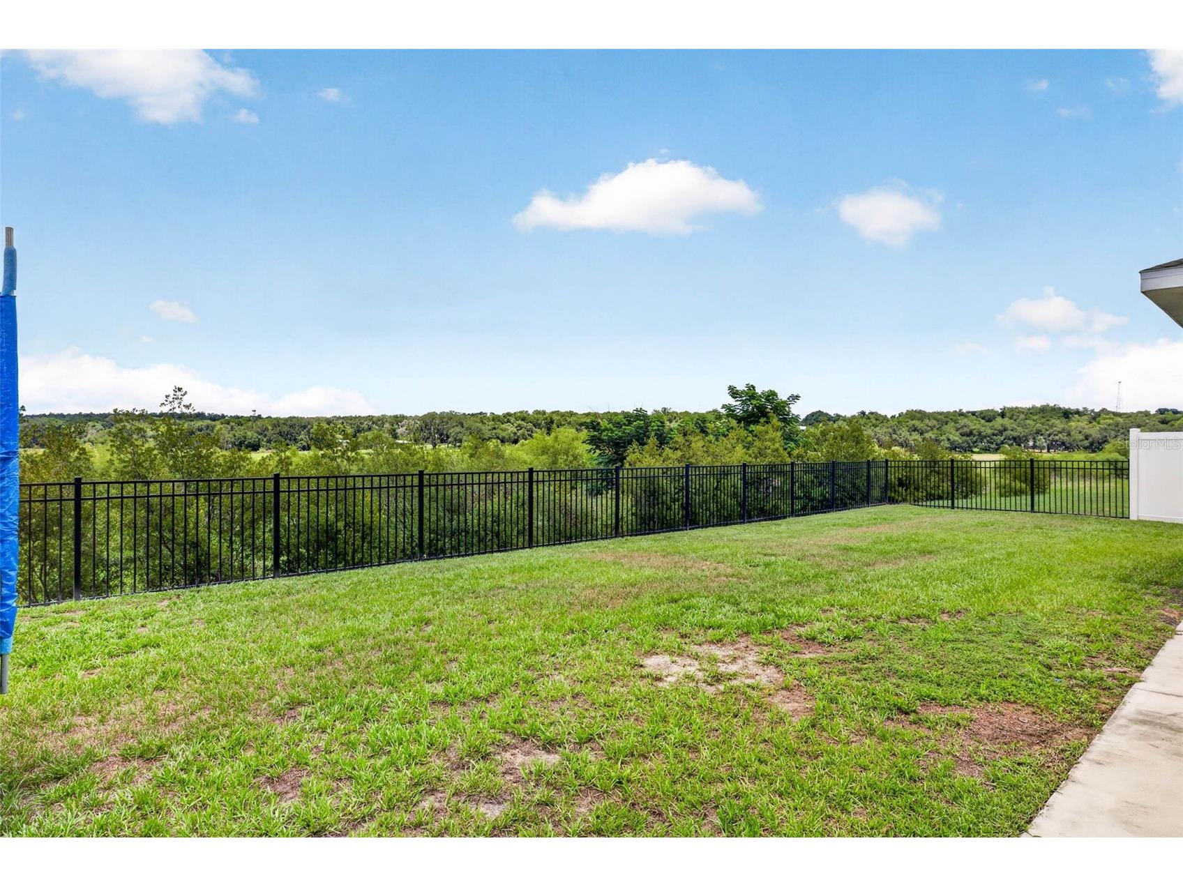 13793 Wineberry Drive Dade City FL 33525 TB8511304 image56