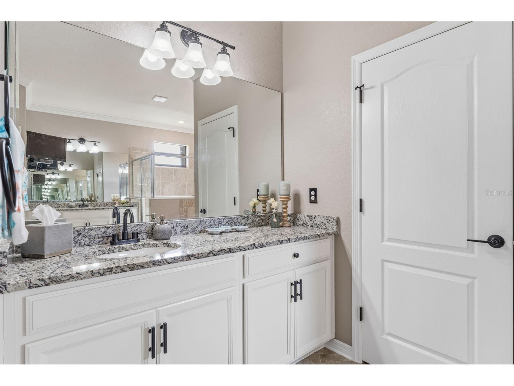 13794 Vancanza Drive Venice FL 34293 N6142799 image35