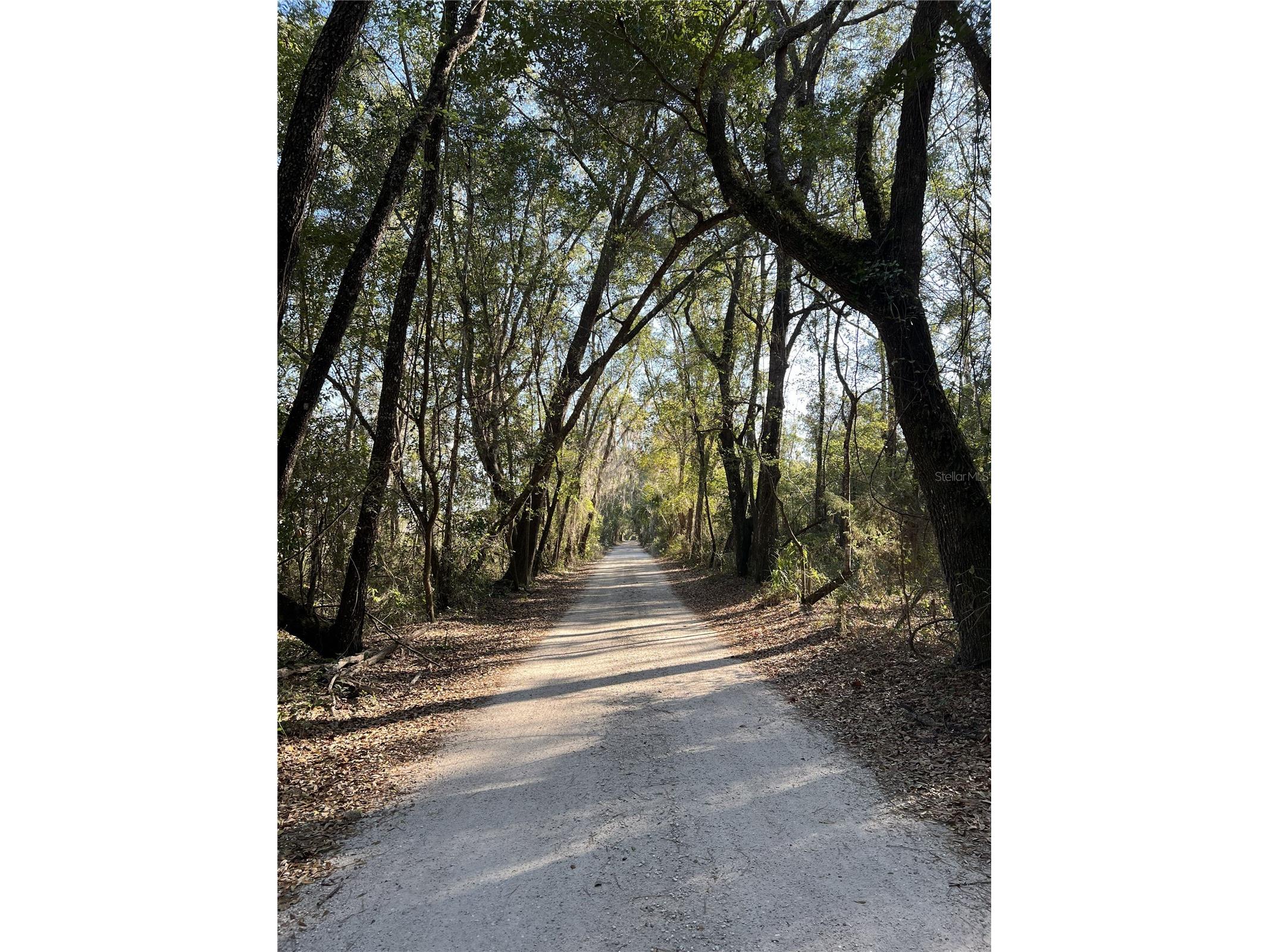 13797 NE 199th Street Waldo FL 32694 - HICKORY POND GC540378 image63