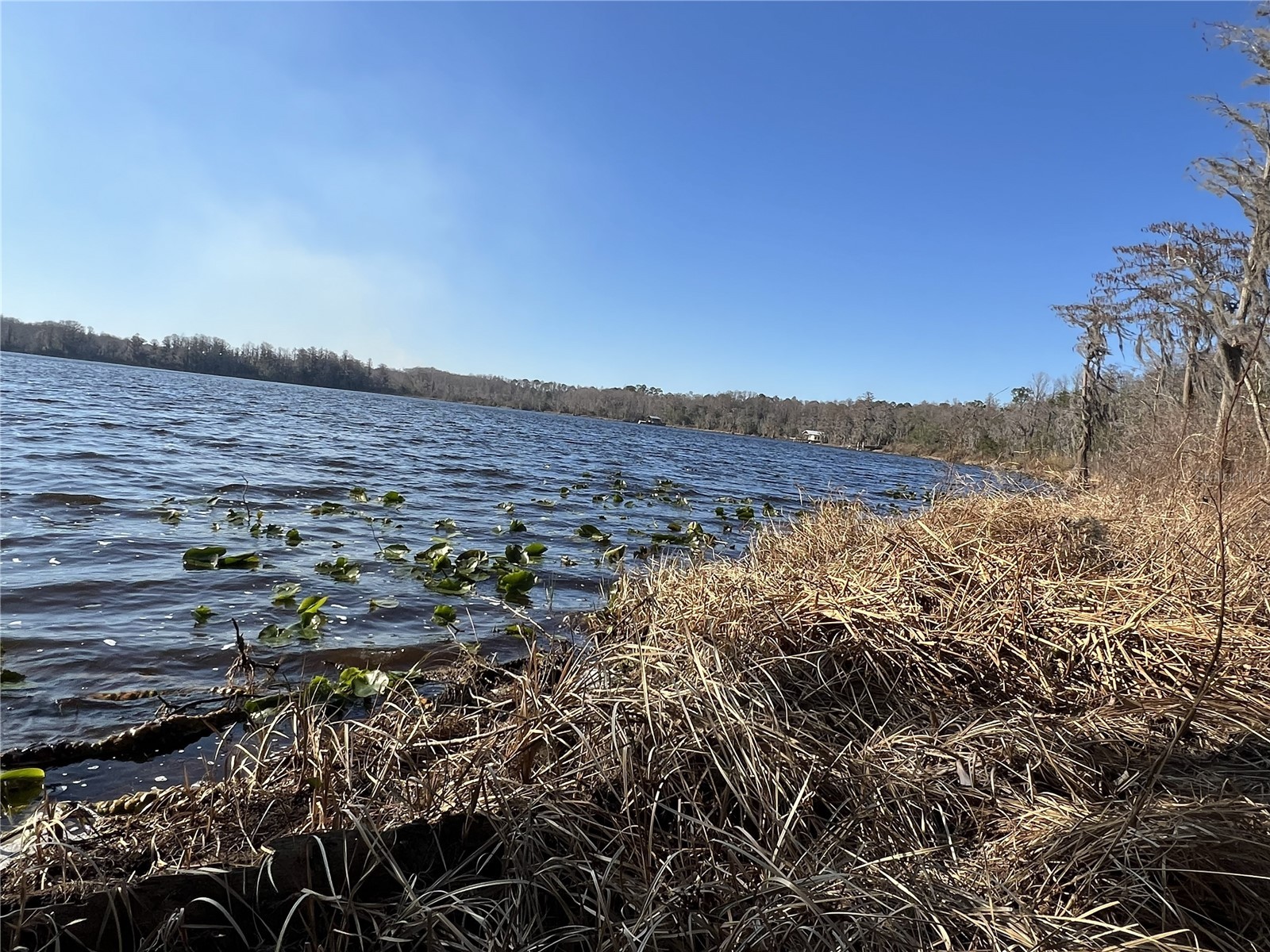 13797 NE 199th Street Waldo FL 32694 - HICKORY POND GC540378 image66