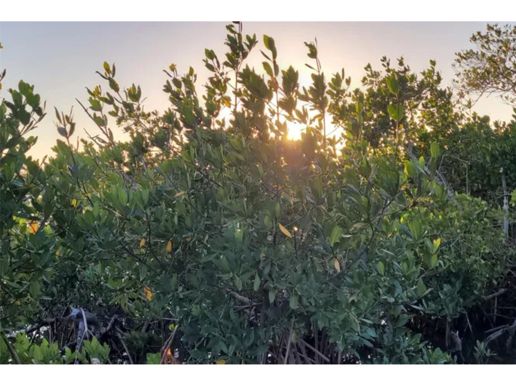 13798 74th Avenue Seminole FL 33776 - BOCA CIEGA BAY TB8478266 image16