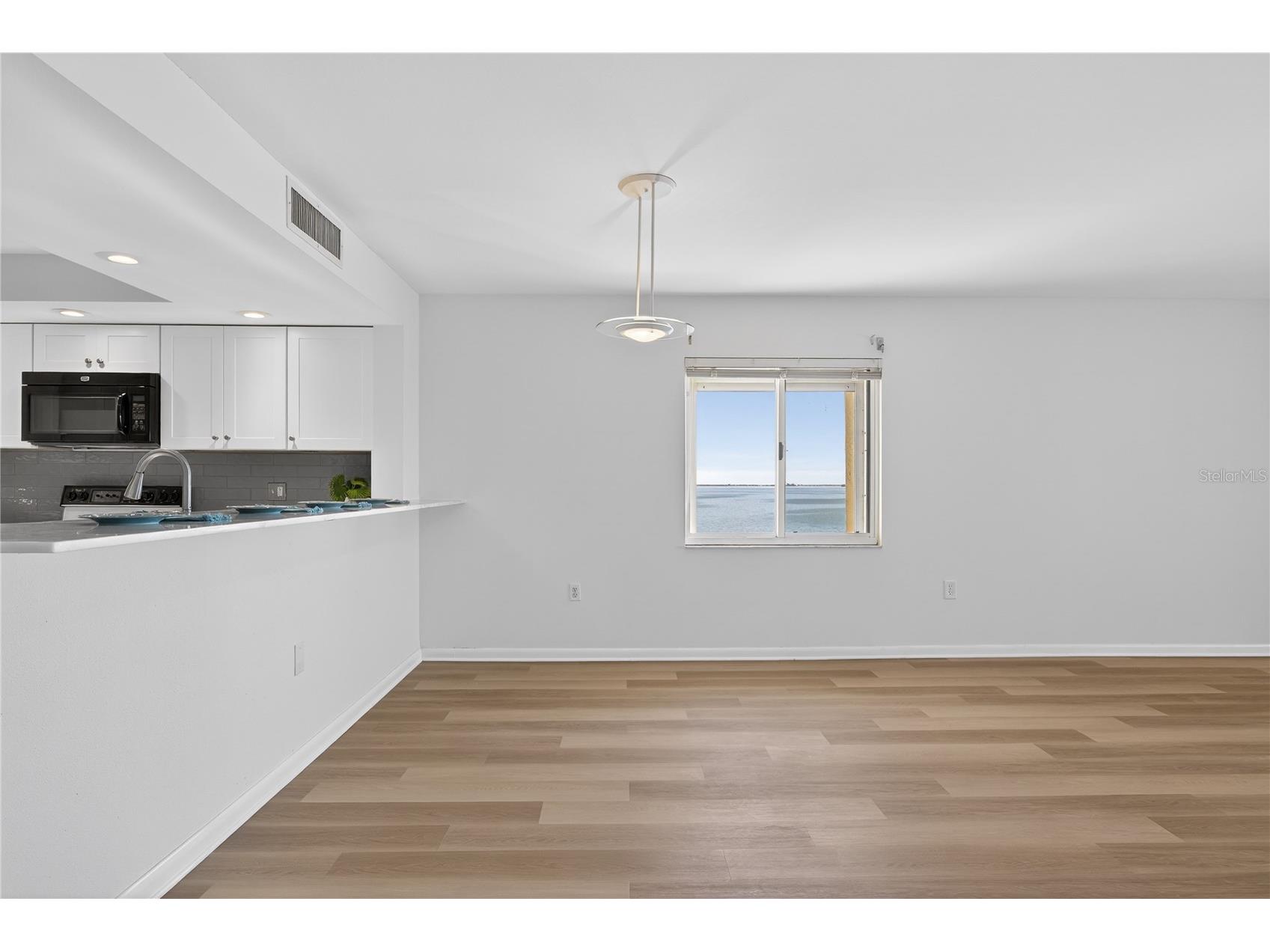 138 1st Street E #302 Saint Petersburg FL 33715 - TAMPA BAY/GULF OF MEXICO U8249724 image46