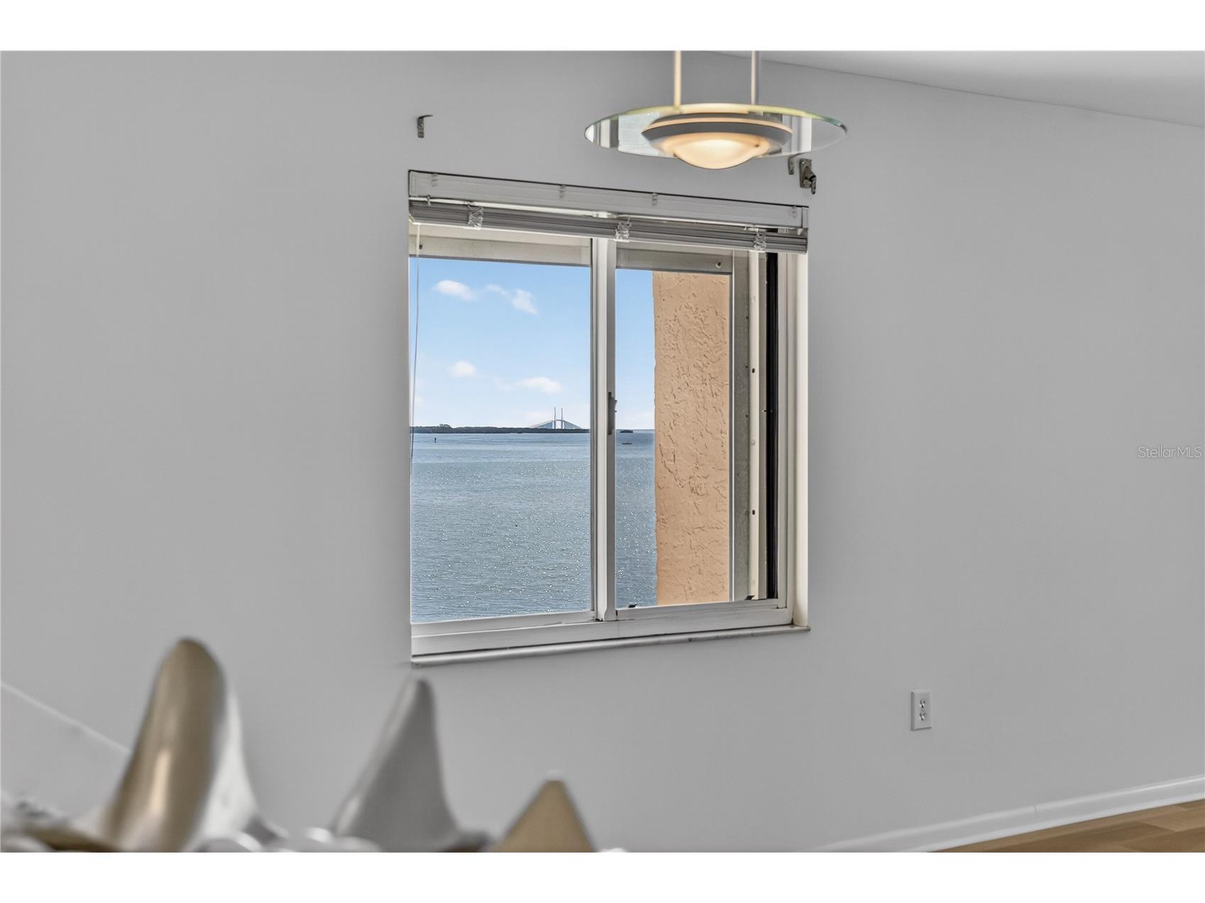 138 1st Street E #302 Saint Petersburg FL 33715 - TAMPA BAY/GULF OF MEXICO U8249724 image59