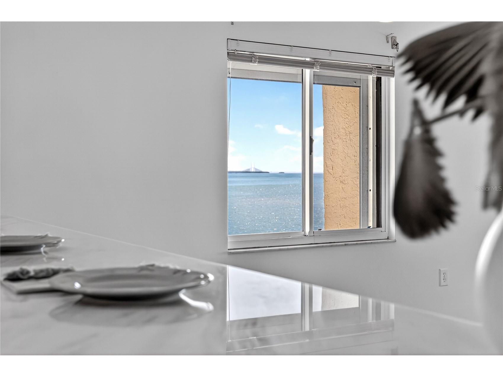 138 1st Street E #302 Saint Petersburg FL 33715 - TAMPA BAY/GULF OF MEXICO U8249724 image60