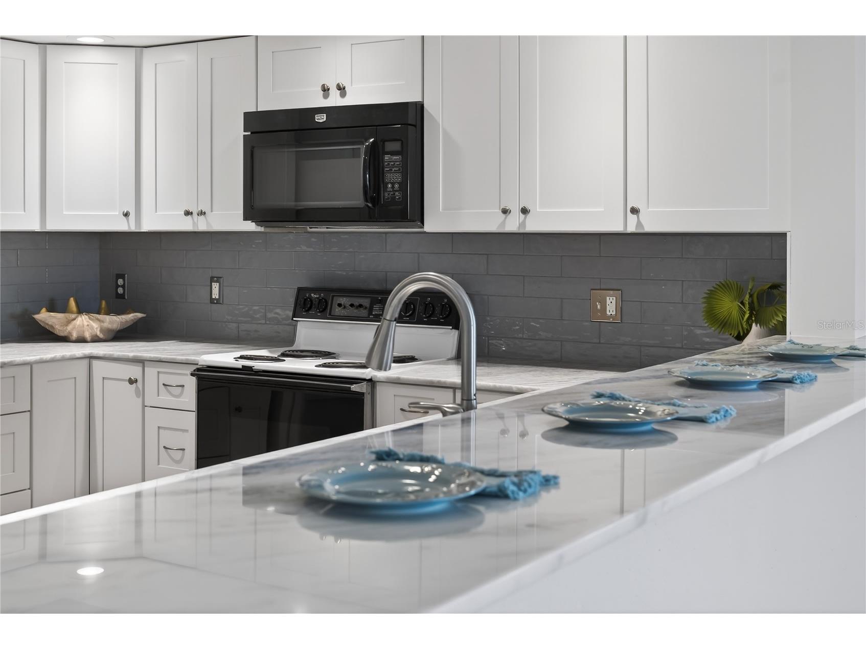 138 1st Street E #302 Saint Petersburg FL 33715 - TAMPA BAY/GULF OF MEXICO U8249724 image61