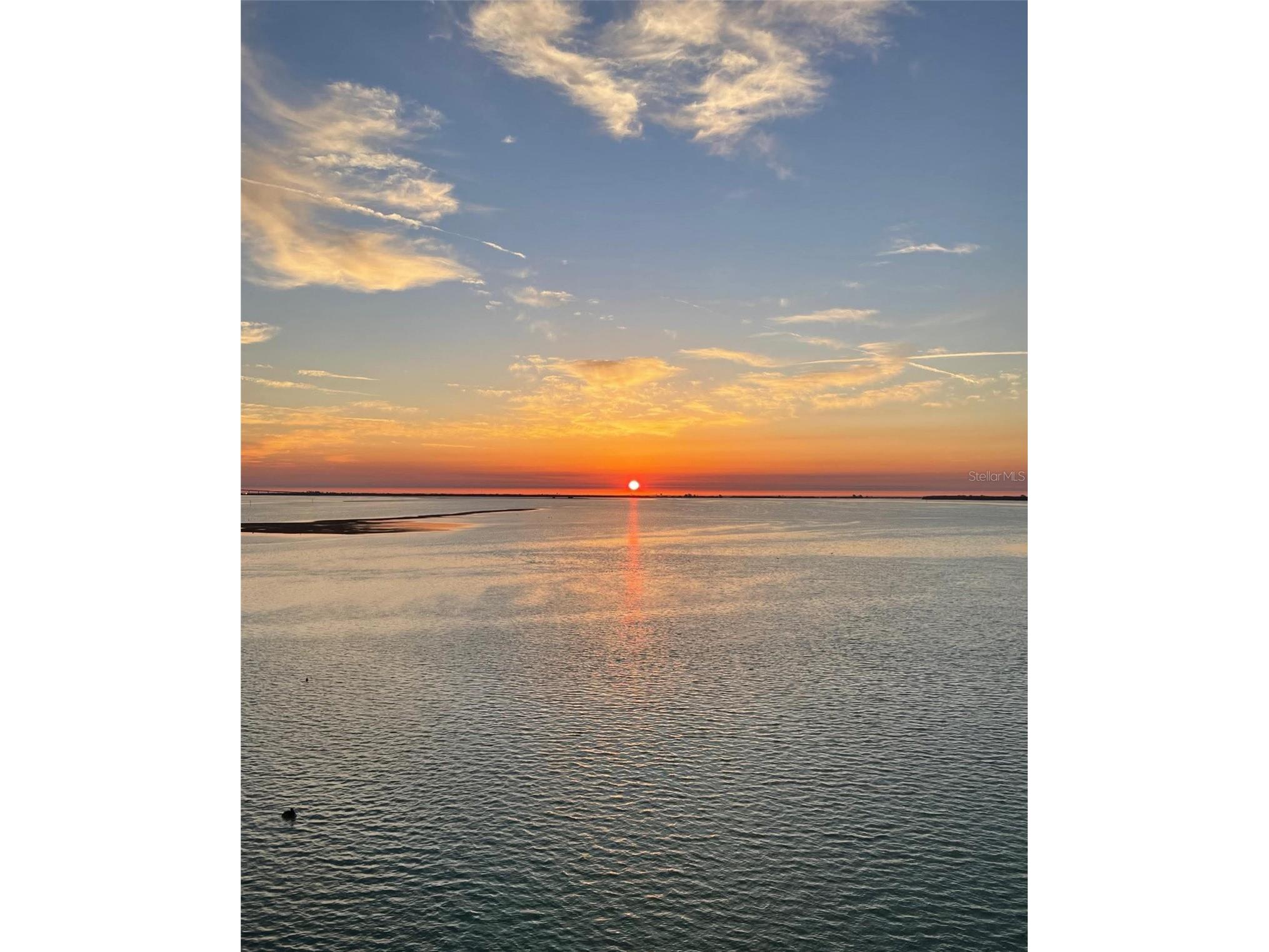 138 1st Street E #302 Saint Petersburg FL 33715 - TAMPA BAY/GULF OF MEXICO U8249724 image62