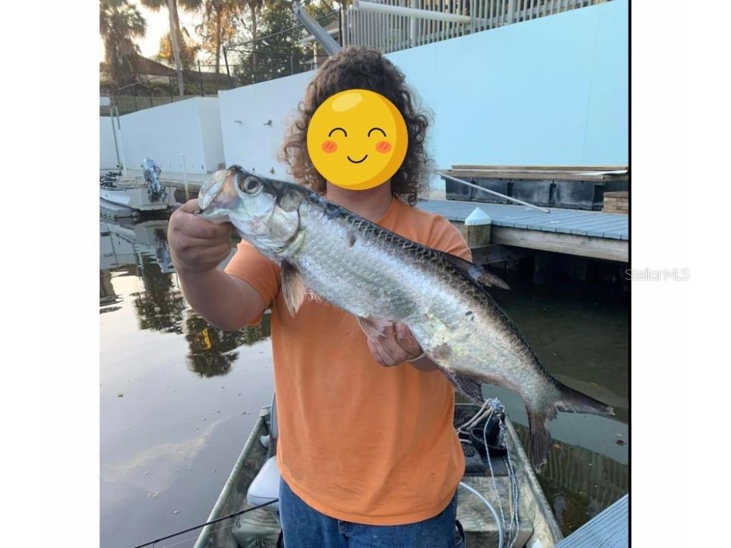 138 Azalea Road Edgewater FL 32141 - INTRACOASTAL WATERWAY NS1085991 image77