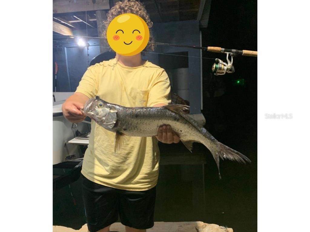 138 Azalea Road Edgewater FL 32141 - INTRACOASTAL WATERWAY NS1085991 image78