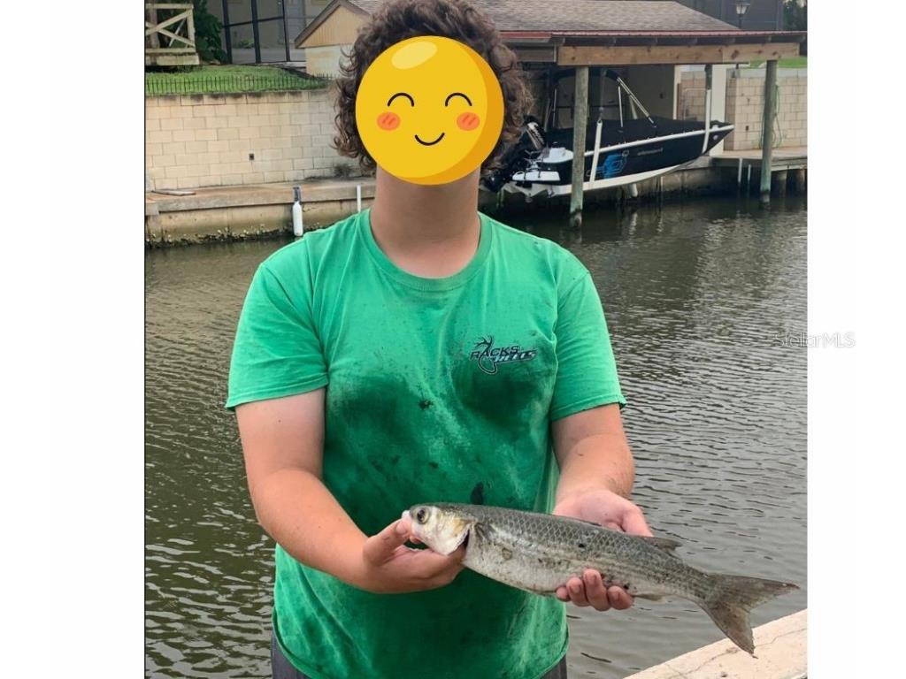 138 Azalea Road Edgewater FL 32141 - INTRACOASTAL WATERWAY NS1085991 image80