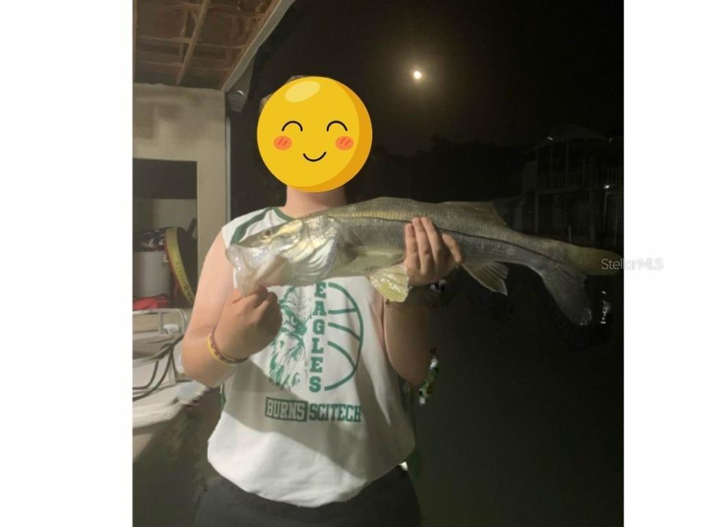 138 Azalea Road Edgewater FL 32141 - INTRACOASTAL WATERWAY NS1085991 image81