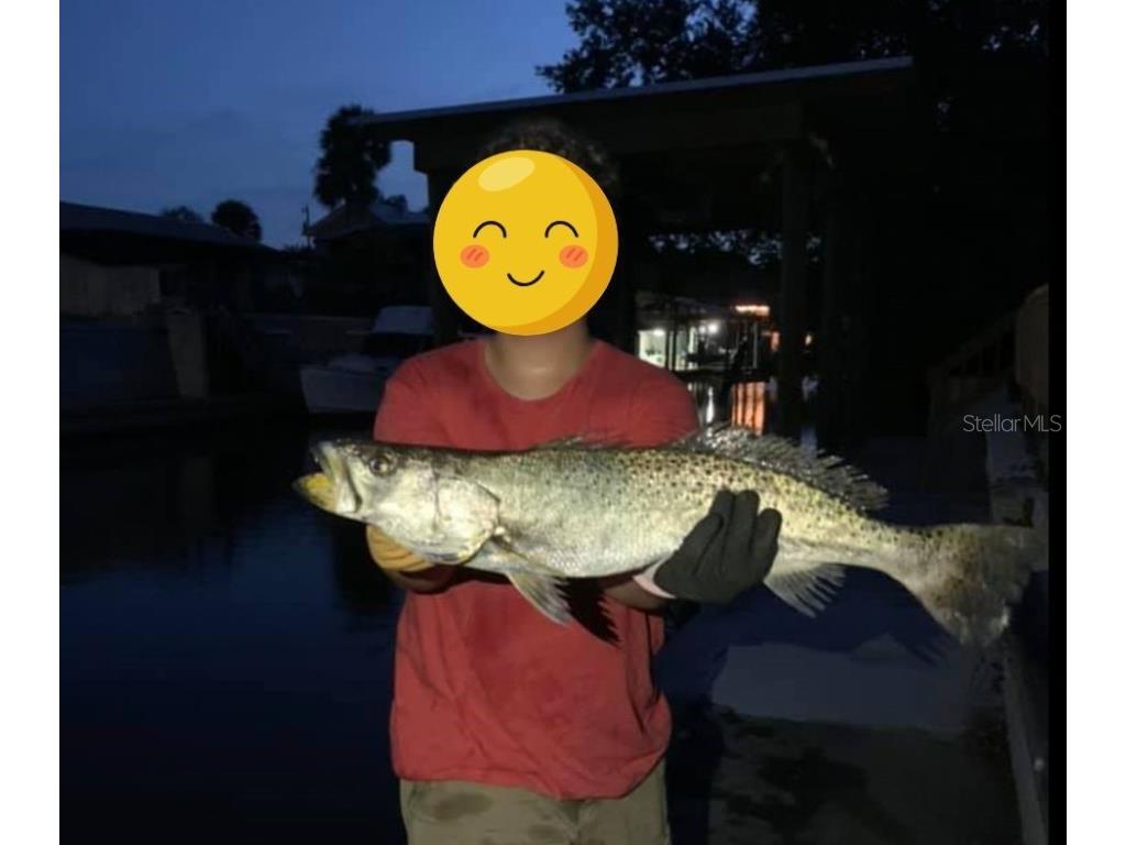 138 Azalea Road Edgewater FL 32141 - INTRACOASTAL WATERWAY NS1085991 image82