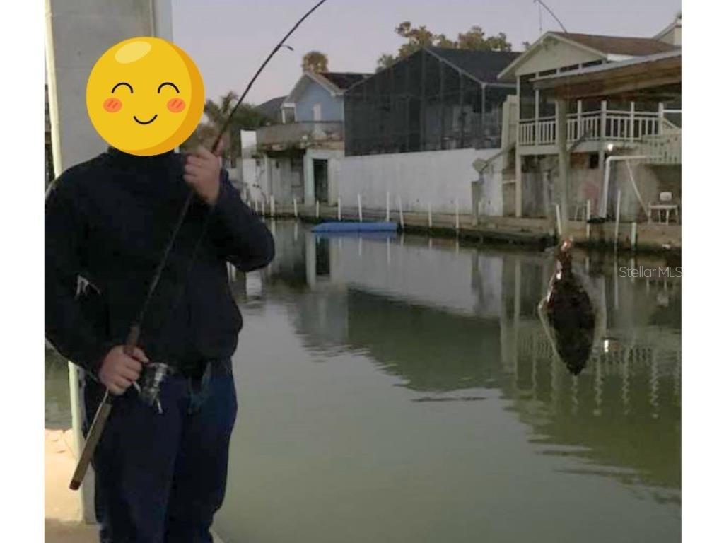 138 Azalea Road Edgewater FL 32141 - INTRACOASTAL WATERWAY NS1085991 image83