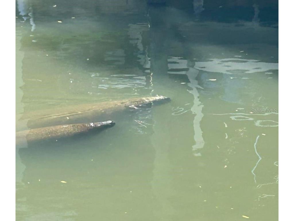 138 Azalea Road Edgewater FL 32141 - INTRACOASTAL WATERWAY NS1085991 image84