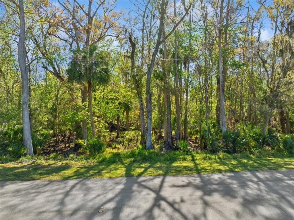 138 Blare Drive Palm Coast FL 32137 FC308038 image1