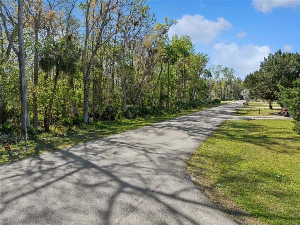 138 Blare Drive Palm Coast FL 32137 FC308038 image2