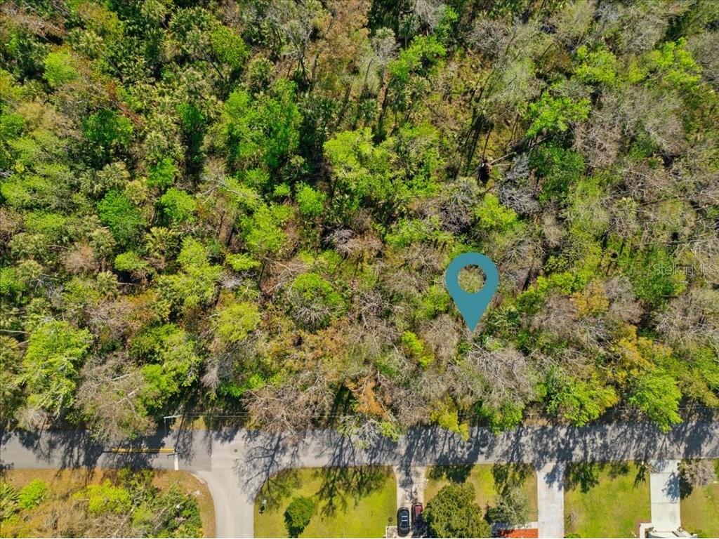 138 Blare Drive Palm Coast FL 32137 FC308038 image6