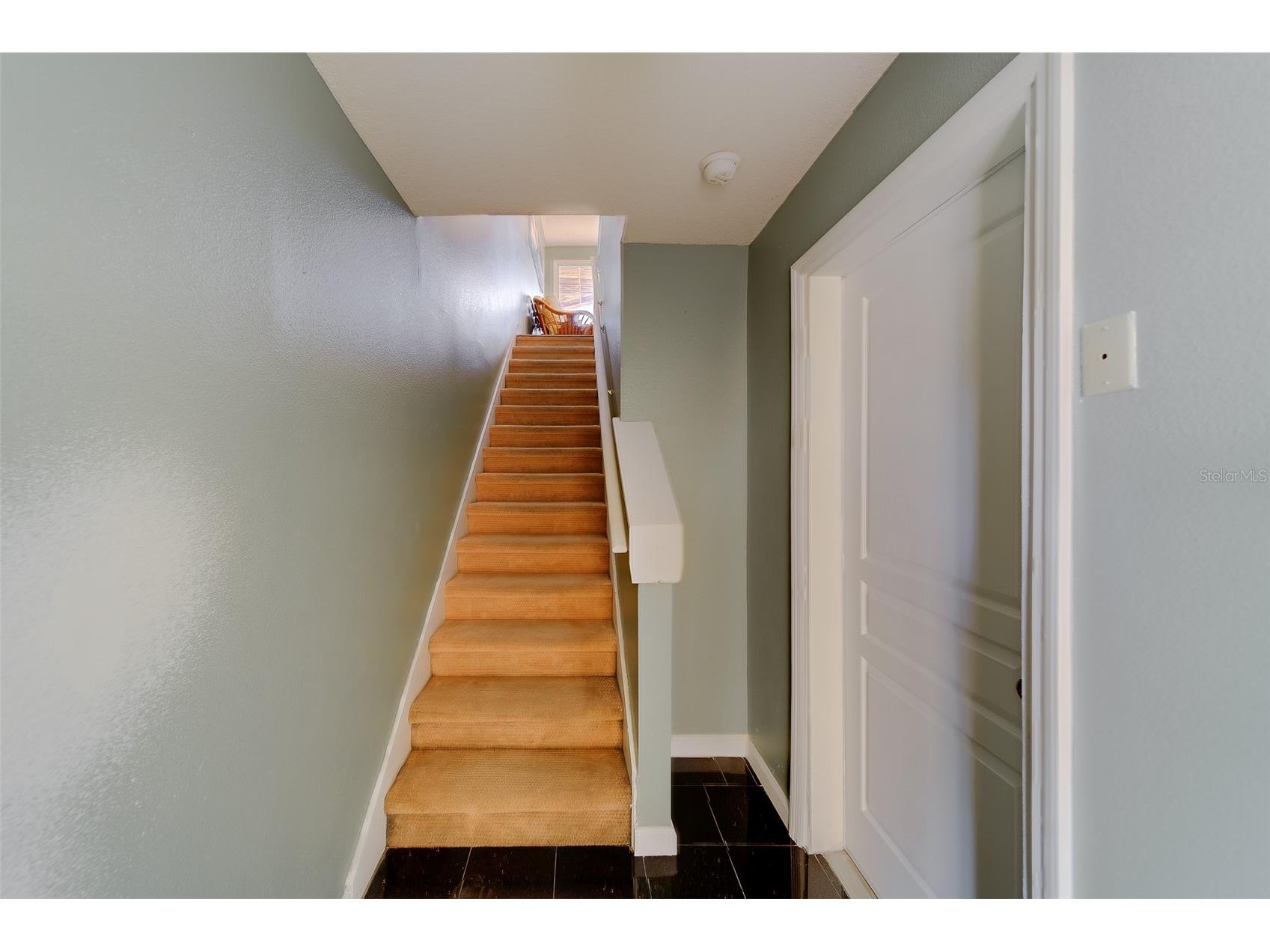 138 Brent Circle Oldsmar FL 34677 - TAMPA BAY TB8496402 image41