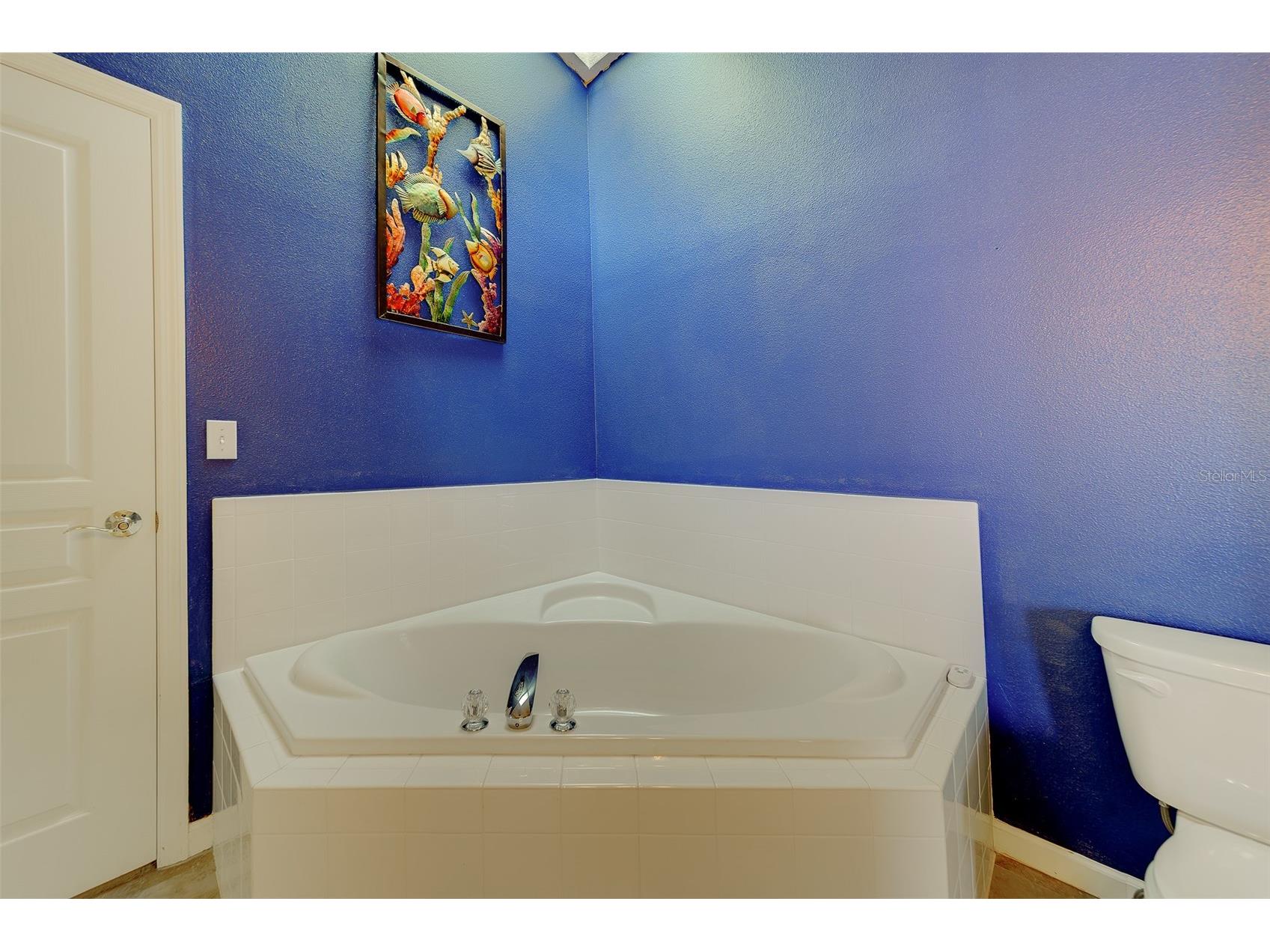 138 Brent Circle Oldsmar FL 34677 - TAMPA BAY TB8496402 image47