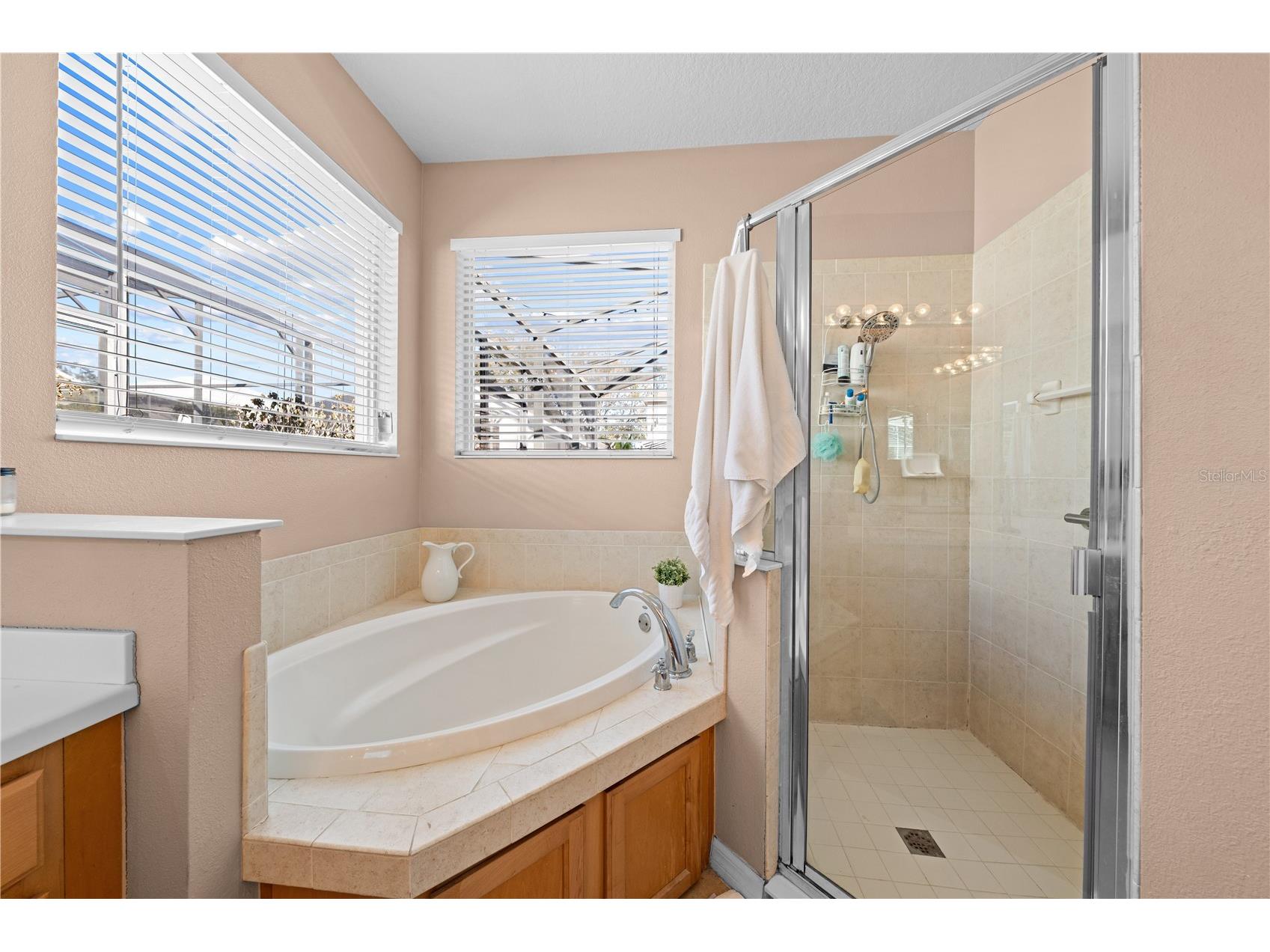 138 Chaucer Avenue Davenport FL 33896 S5143510 image29