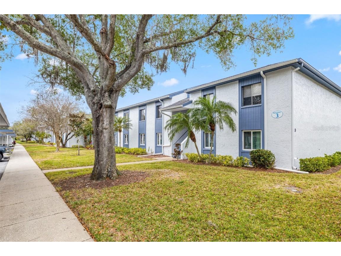 138 Cypress Lane #138 Oldsmar FL 34677 U8228665 image1