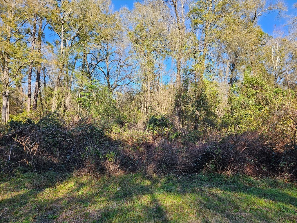 138 Deer Stand Roads Florahome FL 32140 T3512284 image1
