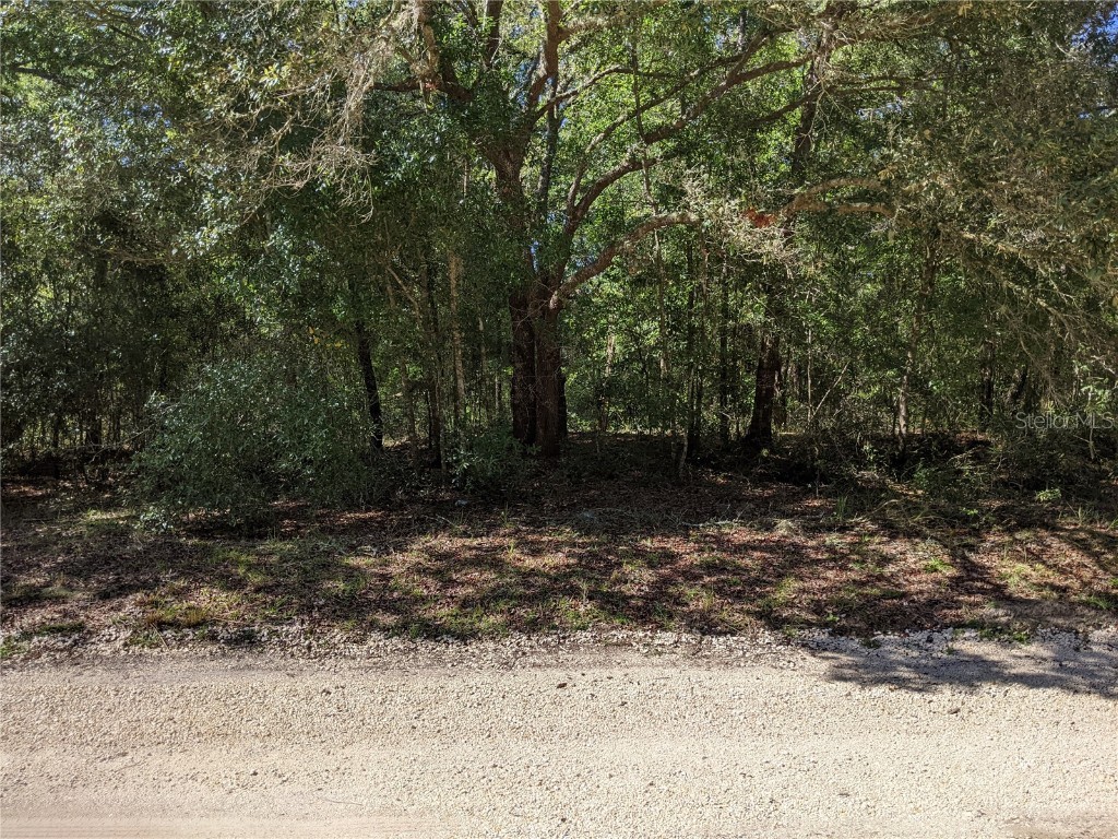 138 E Brandon Street Hernando FL 34442 G5058753 image1