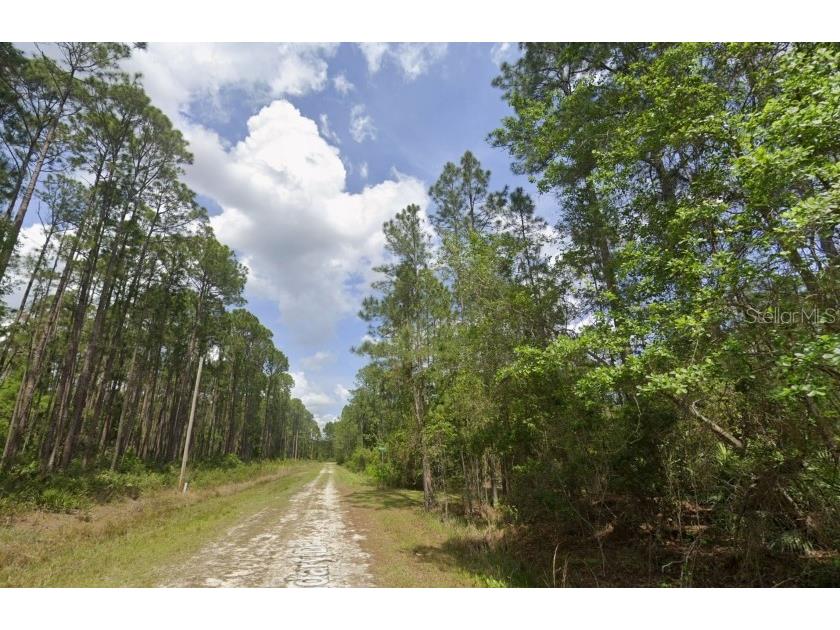 138 Mosswood Street Georgetown FL 32139 TB8485919 image1