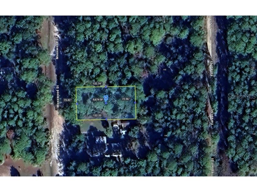 138 Mosswood Street Georgetown FL 32139 TB8485919 image5