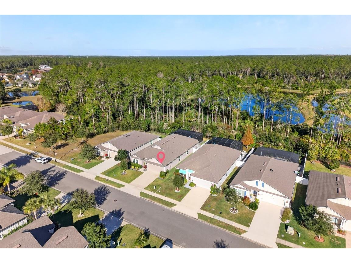 138 S Hummingbird Place Palm Coast FL 32164 O6368419 image39