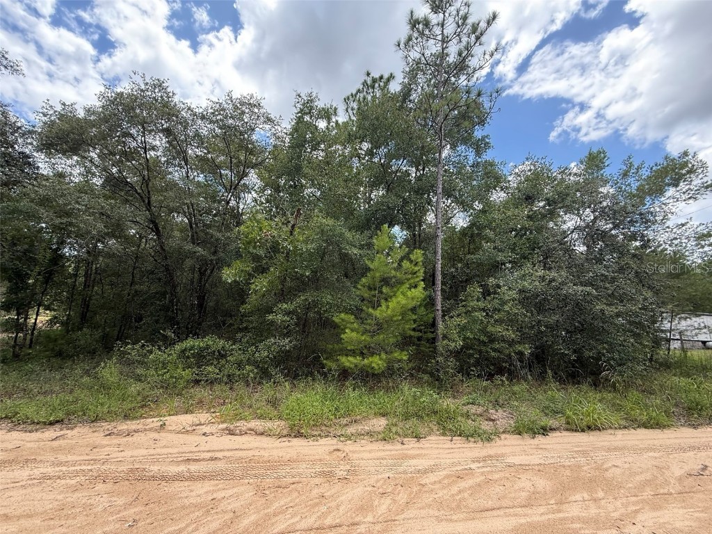 138 SE 8th Ave Interlachen FL 32148 OK225411 image1