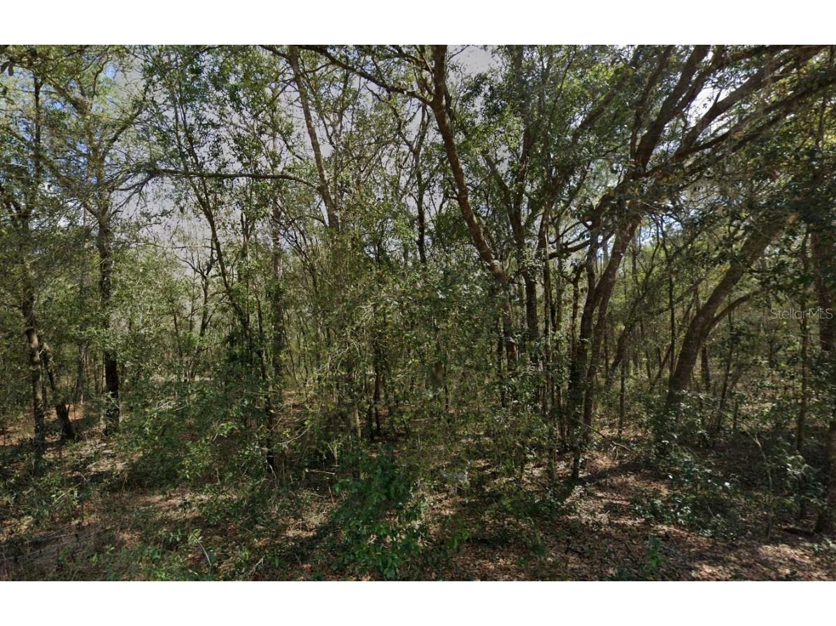 138 SE 8th Ave Interlachen FL 32148 OK225411 image2