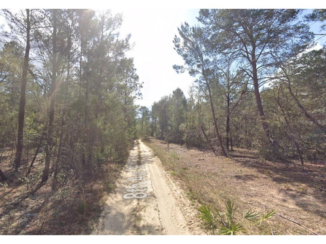 138 SE 8th Ave Interlachen FL 32148 OK225411 image4